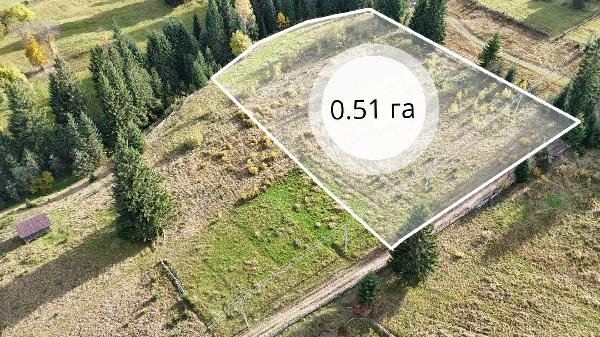  - фото нерухомості